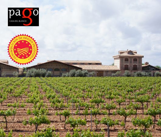Pago Casa del Blanco, Vino de Pago DOP und Castilla IGP