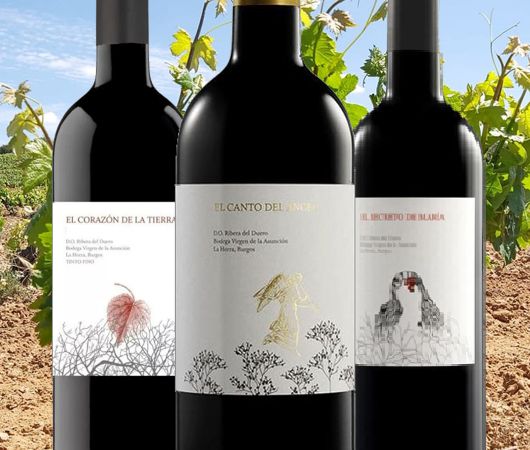 Dominio de MonteLaHorra, Ribera del Duero DO, Premium