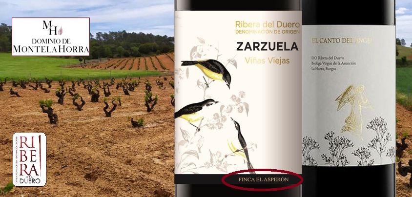 Dominio de MonteLaHorra, Ribera del Duero DO