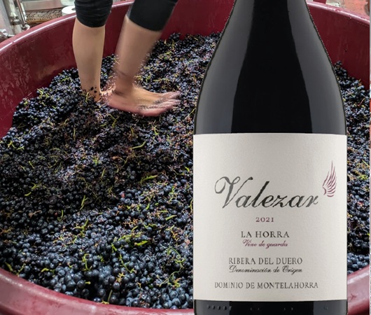 Dominio de MonteLaHorra, Ribera del Duero DO, Valezar